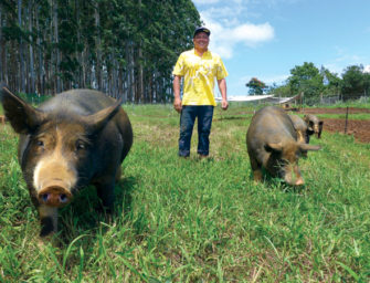 From Farm To Table